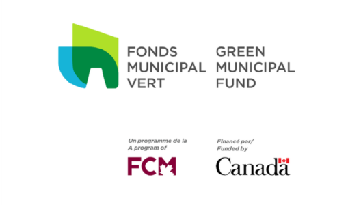 logo FMV FCM