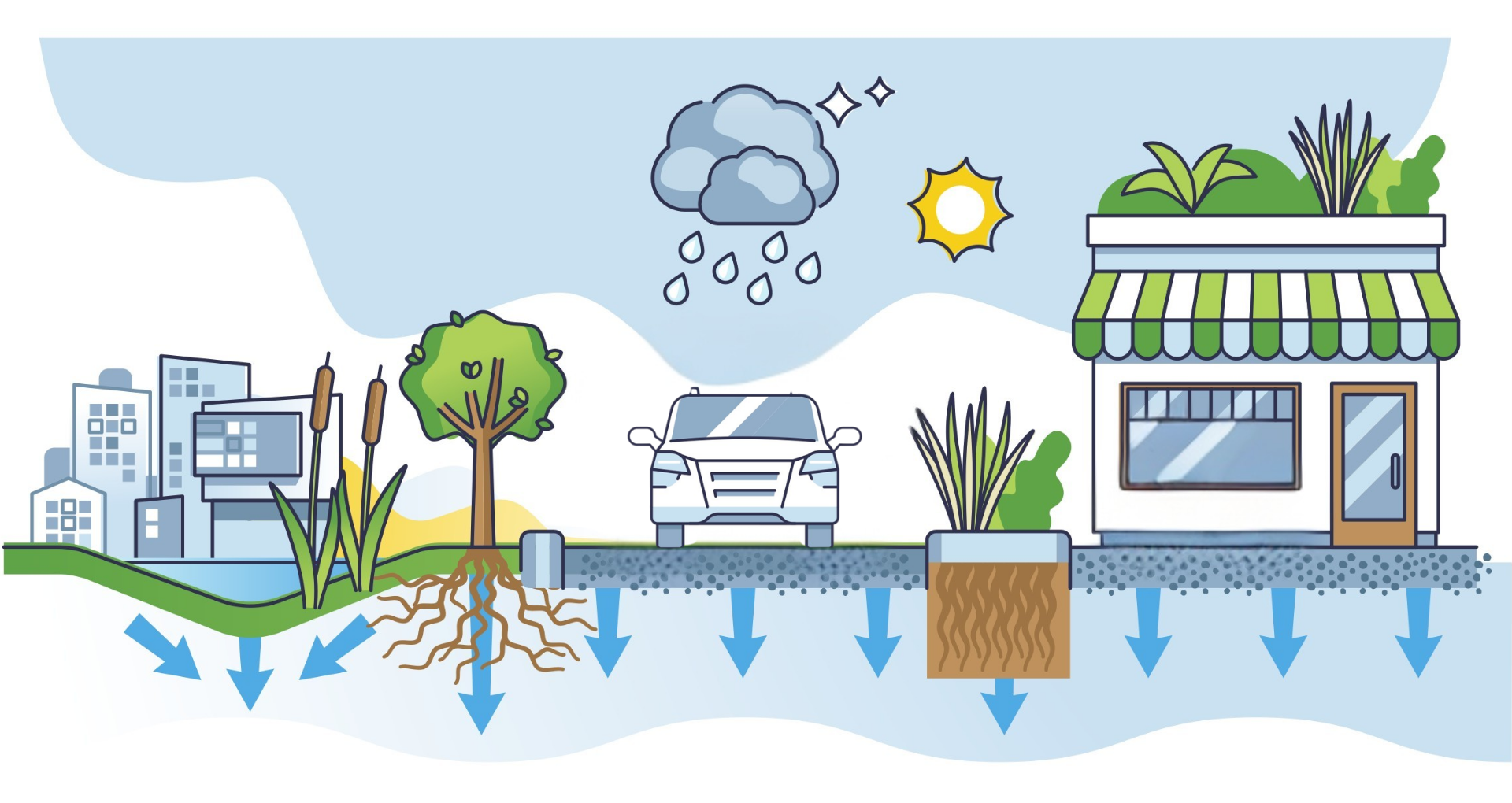 illustration représentant plusieurs infrastructures vertes de gestion des eaux pluviales