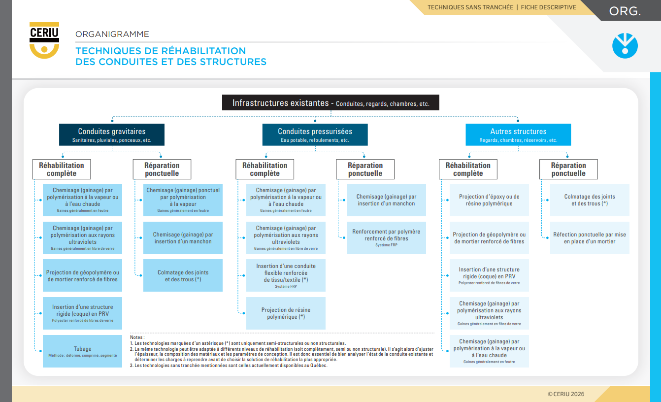 visuel-organigramme-tst