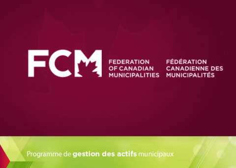 PGAM-FCM